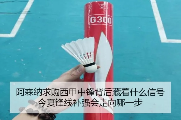 阿森纳求购西甲中锋背后藏着什么信号 今夏锋线补强会走向哪一步（ayx）